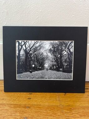Black & White Winter Central Park Print Wall Art